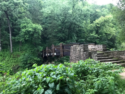 A wooden bridge surrounded by lush green trees and foliage in a natural setting.