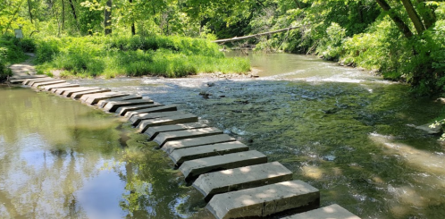 A serene stream with stepping stones crossing over, surrounded by lush greenery and trees.