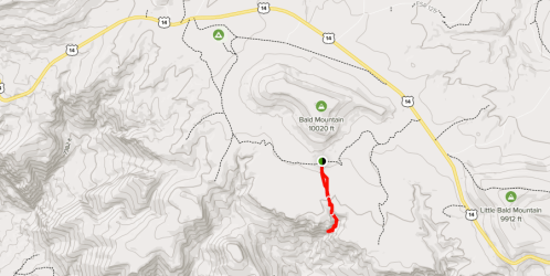 Map showing Bald Mountain and Little Bald Mountain, with a highlighted red trail route. Elevation marked at 10,020 ft.