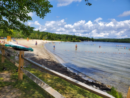 A sunny beach scene with people swimming and relaxing by the water, surrounded by trees and a clear blue sky.