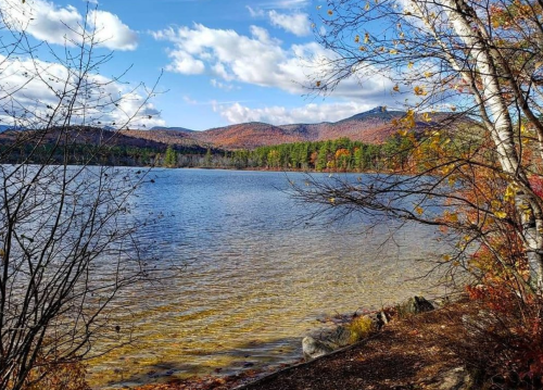Scenic view of a lake surrounded by autumn foliage and mountains under a blue sky with fluffy clouds.