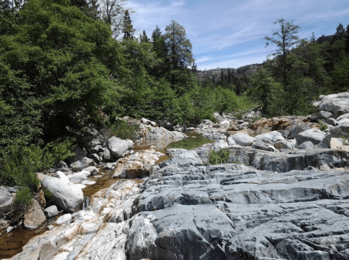 A serene riverbed with smooth rocks, surrounded by lush greenery and trees under a clear blue sky.