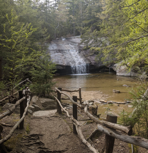 A serene forest scene featuring a small waterfall cascading into a clear pool, surrounded by lush greenery and wooden pathways.