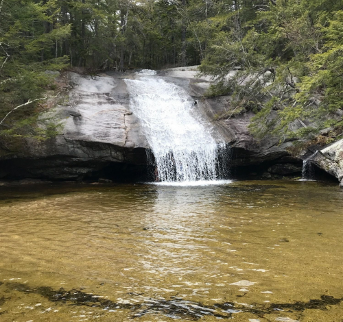 A serene waterfall cascading over rocks into a clear pool, surrounded by lush greenery and trees.