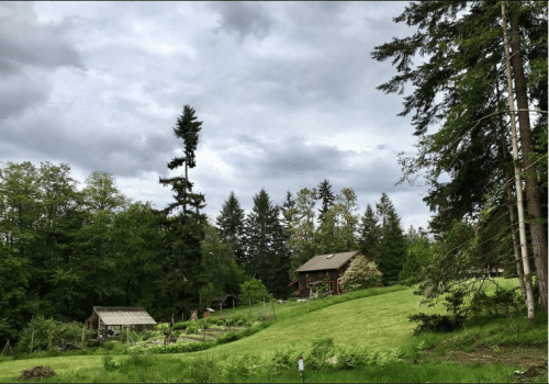 A cozy cabin surrounded by lush greenery and tall trees under a cloudy sky.