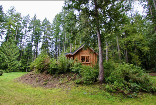 A small wooden cabin surrounded by lush greenery and tall trees in a serene forest setting.