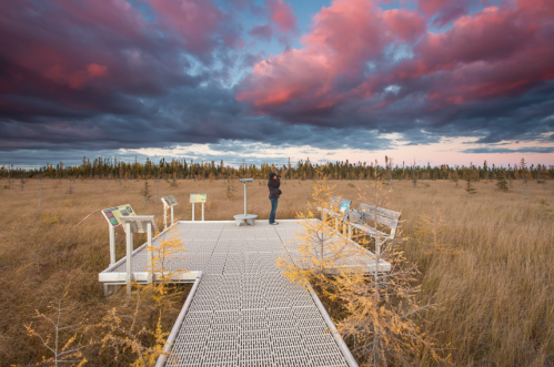 A person stands on a viewing platform in a grassy landscape under a colorful sunset sky with dramatic clouds.