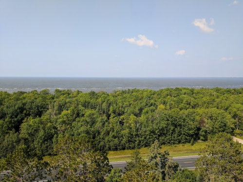 A scenic view of a lush green forest meeting a calm sea under a clear blue sky with a few clouds.