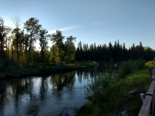 A serene river scene surrounded by trees, reflecting the clear sky and lush greenery in the early morning light.