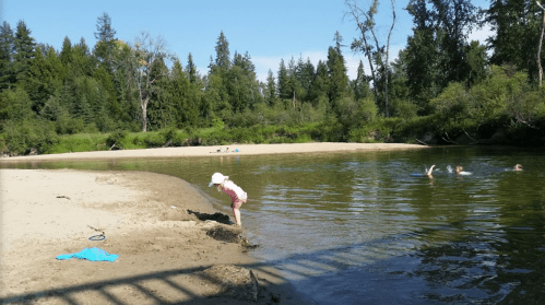 A child in a sun hat leans over a sandy bank by a river, while others swim nearby in a lush, green setting.