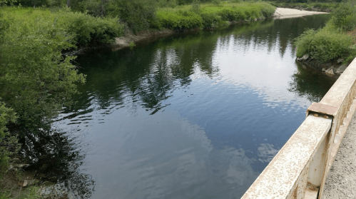 A serene river flows gently, surrounded by lush greenery and trees, with a bridge visible in the foreground.