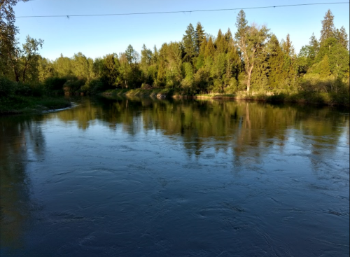 A serene river surrounded by lush green trees under a clear blue sky, reflecting the landscape on its surface.