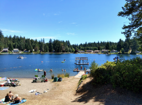A sunny lakeside scene with people swimming, boating, and relaxing on the shore surrounded by trees and homes.
