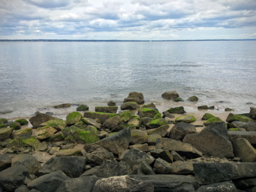 Rocky shoreline with green moss, calm water, and a cloudy sky in the background.