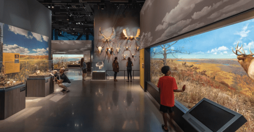 Visitors explore a natural history exhibit featuring taxidermy displays and scenic dioramas of wildlife.
