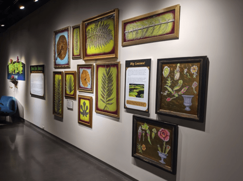 A gallery wall featuring framed botanical art and informational plaques about plants and leaves.