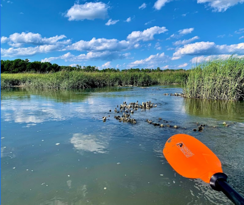 A kayak paddle in the foreground, with a serene waterway and lush green grass under a blue sky with fluffy clouds.