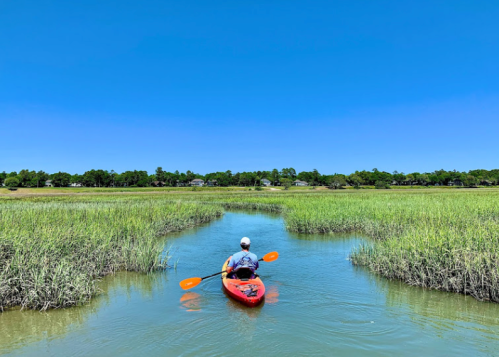 A person kayaking through a serene marsh with tall grass under a clear blue sky.