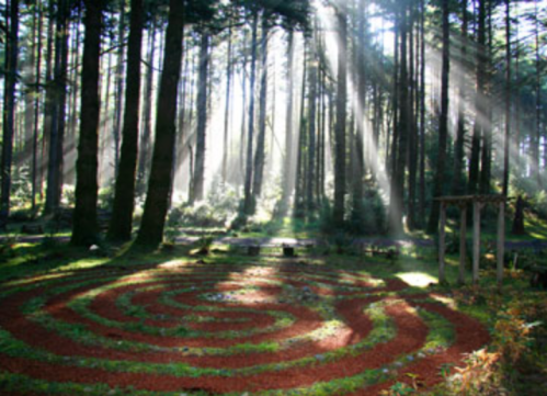 A serene forest scene featuring a spiral labyrinth on the ground, illuminated by soft rays of sunlight through the trees.