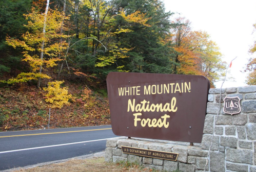 Sign for White Mountain National Forest with autumn foliage in the background and a road nearby.