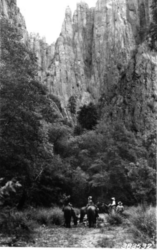 A black and white photo of riders on horseback in a rocky canyon surrounded by tall cliffs and dense vegetation.