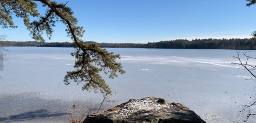 A serene winter scene of a frozen lake surrounded by trees under a clear blue sky.