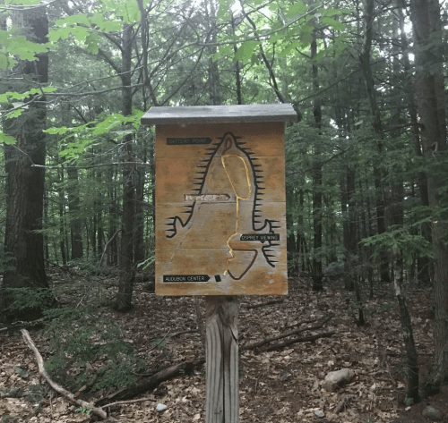 A wooden trail sign in a forest, featuring a map with labeled paths and locations, surrounded by trees.