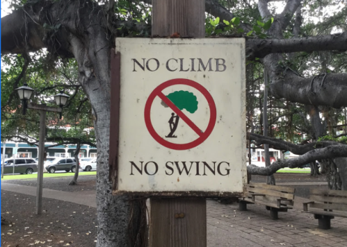 Sign on a post stating "No Climb, No Swing" with a graphic of a person and a tree, set in a park.