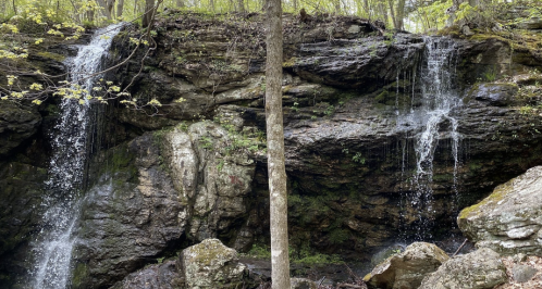 Two waterfalls cascade down rocky cliffs, surrounded by lush greenery and trees in a serene forest setting.