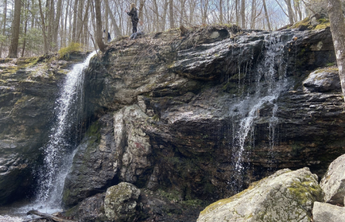 A rocky waterfall surrounded by trees, with a person standing on the ledge above the cascading water.