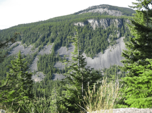 Lush green mountainside with dense trees and rocky slopes under a clear blue sky.