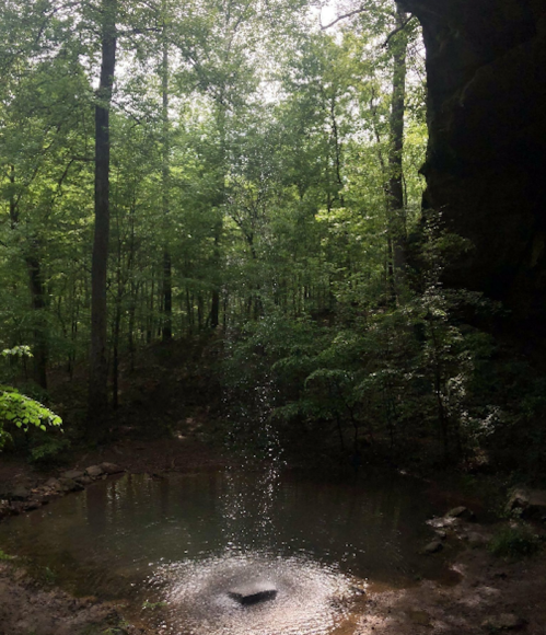 A serene forest scene with a small pond reflecting sunlight and a waterfall cascading from a rocky cliff above.