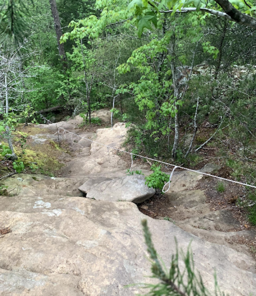 A rocky path leads down through lush greenery, with a rope for assistance on the steep descent.