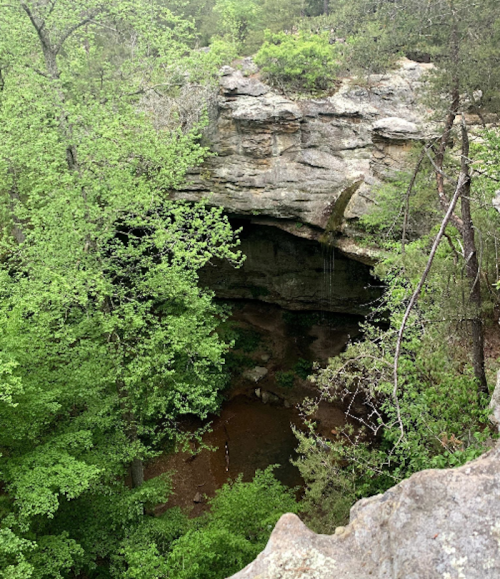 A rocky overhang surrounded by lush green trees, with a small pool of water visible below.