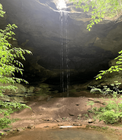 A serene cave with a waterfall cascading down into a small pool, surrounded by lush green foliage.