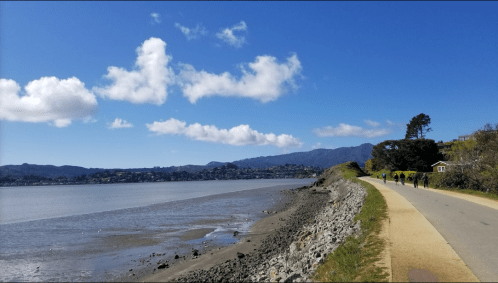 A scenic shoreline with a walking path, blue sky, clouds, and distant hills, with people walking along the path.