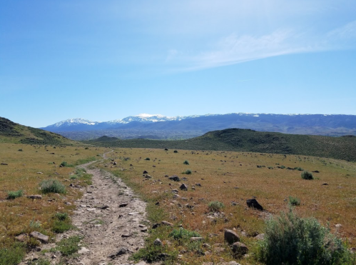 A rocky path leads through a grassy landscape with distant snow-capped mountains under a clear blue sky.