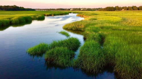 A serene landscape featuring a winding river surrounded by lush green grass and trees under a soft sunset sky.