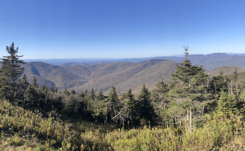 A panoramic view of rolling mountains and valleys, with trees in the foreground and a clear blue sky above.