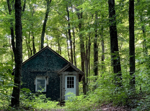 A small, weathered cabin surrounded by lush green trees in a serene forest setting.