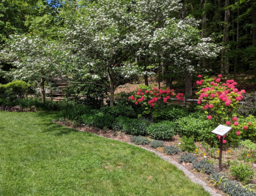 A lush garden featuring blooming trees and vibrant pink flowers, surrounded by green grass and a wooded backdrop.