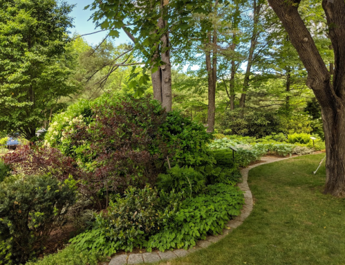 Lush garden with diverse greenery, winding stone path, and trees under a clear blue sky.