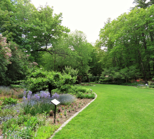 A lush garden with green grass, blooming flowers, and trees under a cloudy sky, creating a serene natural setting.