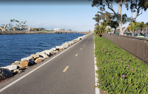 A scenic waterfront path lined with rocks and flowers, with a calm waterway and palm trees in the background.