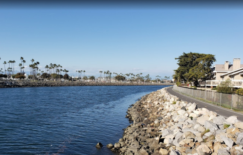 A scenic view of a calm waterway lined with palm trees and a rocky shore, with a pathway and buildings in the background.