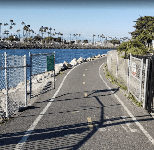 A paved path along a waterfront, lined with palm trees and a fence, leading towards a scenic view of the water.