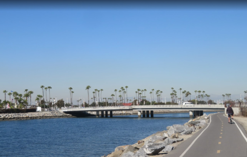 A cyclist rides along a path by a calm waterway, with palm trees and a bridge in the background under a clear blue sky.
