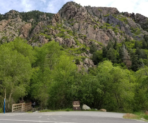 A scenic view of rocky mountains surrounded by lush green trees, with a wooden sign indicating a picnic area.