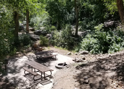 A serene picnic area in a wooded park, featuring tables, a fire pit, and lush greenery surrounding a small stream.