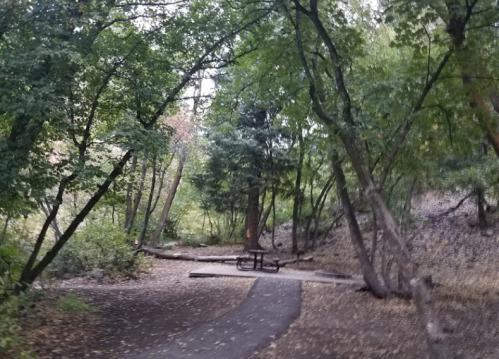 A winding path leads to a picnic table surrounded by lush trees in a serene, wooded area.